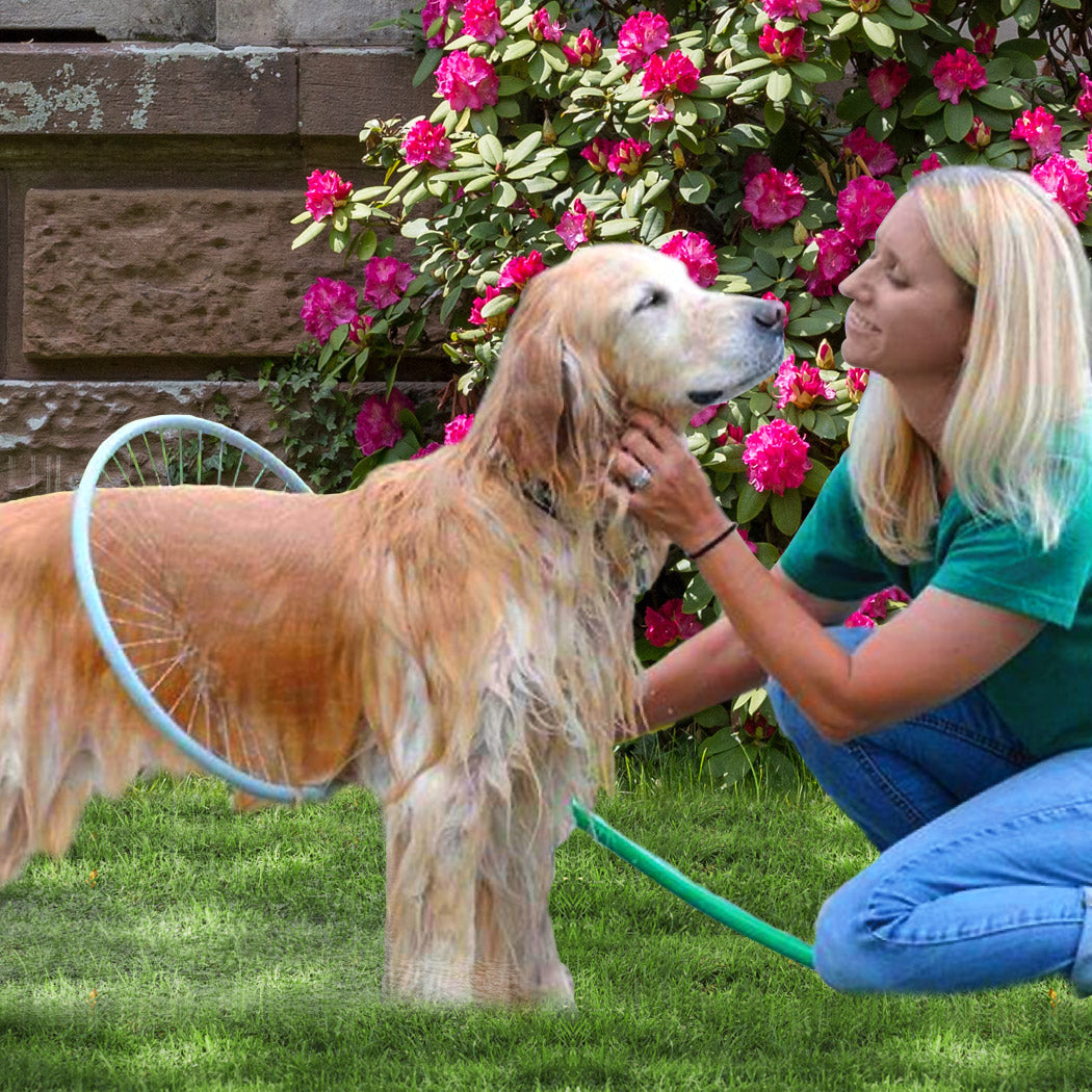 Pawz Dog Swimming Pool Cat Children Kids Washing Bath Tub Foldable Portable